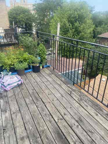 LF roommate in Rogers Park!