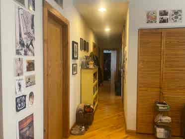 LF roommate in Rogers Park!