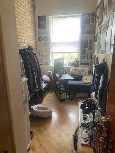 LF roommate in Rogers Park!