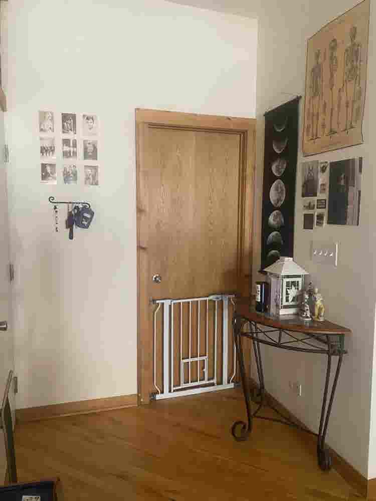LF roommate in Rogers Park!