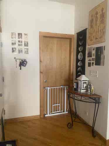 LF roommate in Rogers Park!