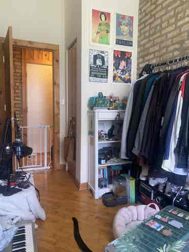 LF roommate in Rogers Park!
