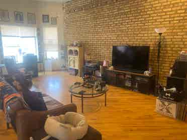 LF roommate in Rogers Park!
