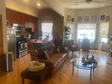 LF roommate in Rogers Park!