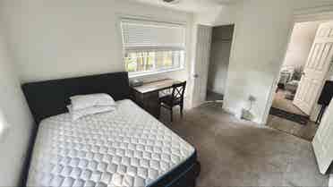 Looking for roommate