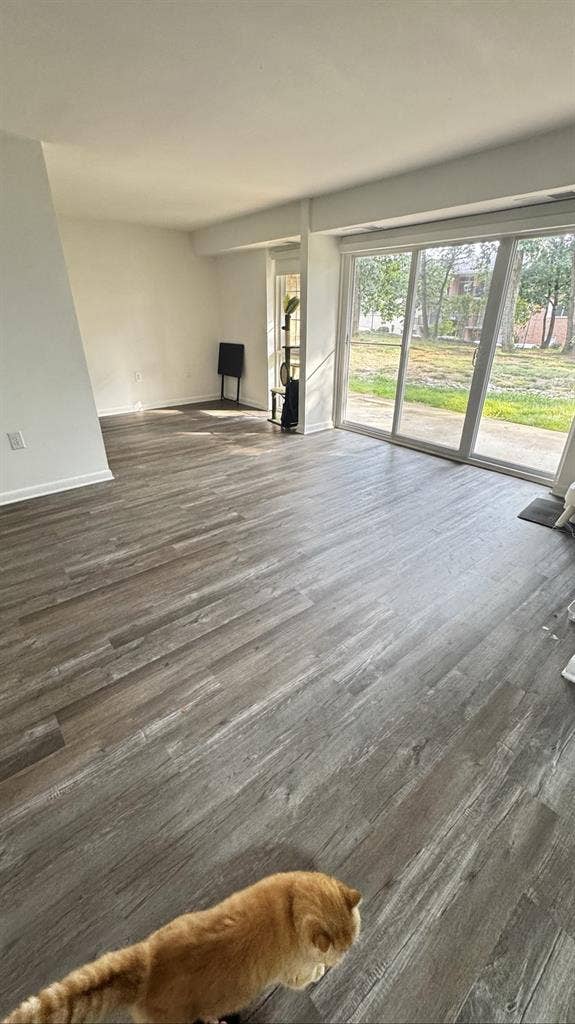Looking for roommate