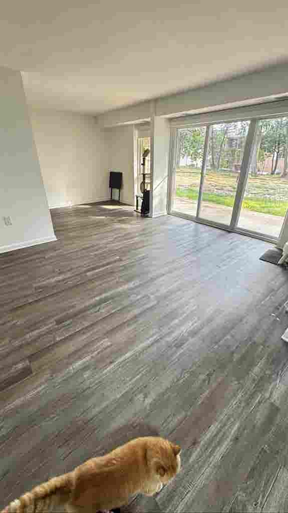 Looking for roommate