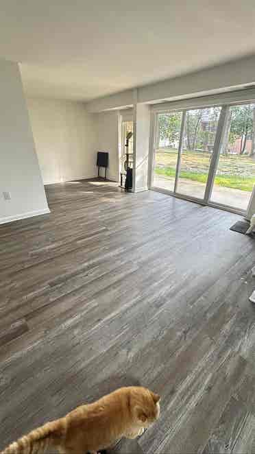 Looking for roommate