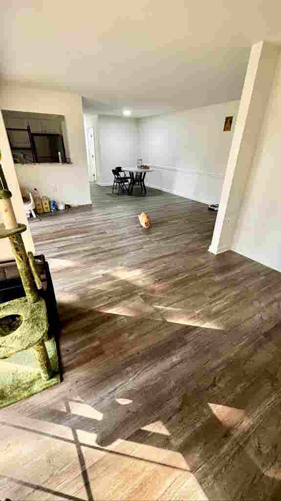 Looking for roommate