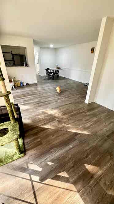 Looking for roommate