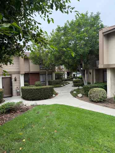 Beautiful Room for Rent in Orange