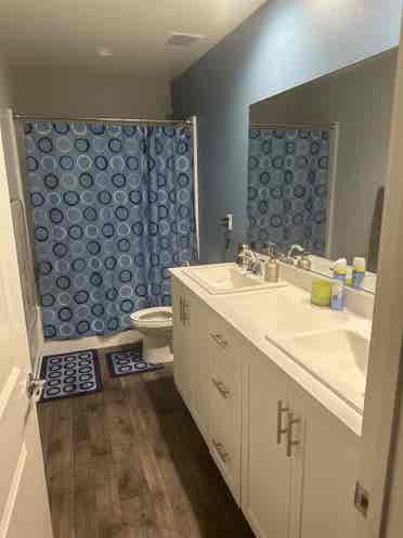 Looking for a great roommate