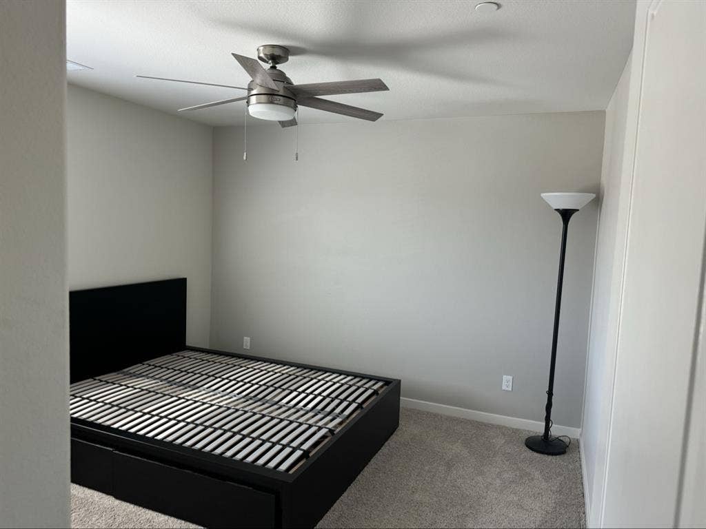 Looking for a great roommate