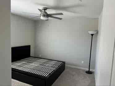 Looking for a great roommate