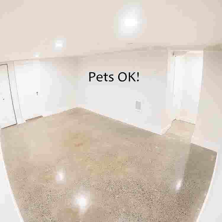 Pet-Friendly Room w/ Private Bath