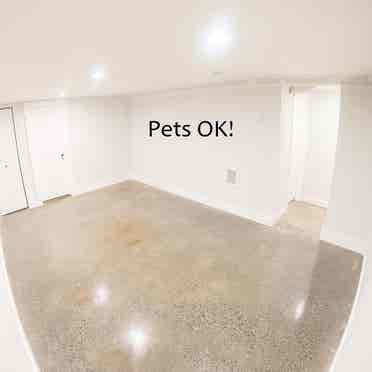 Pet-Friendly Room w/ Private Bath