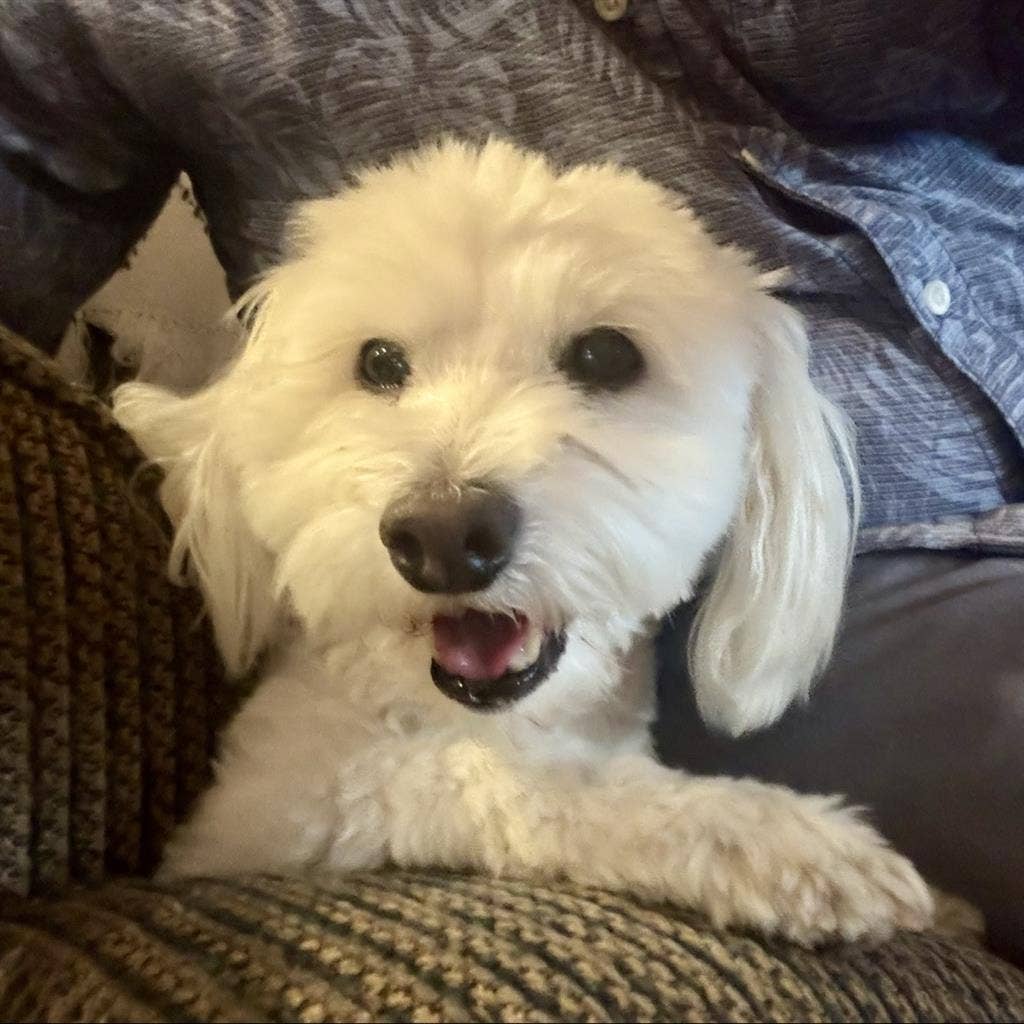 Stunning Eastmark Cadence unit