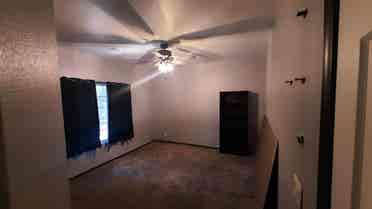 Roommate Wanted