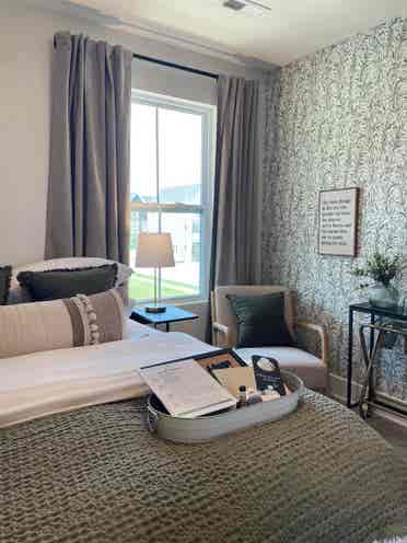 Oak + Moss Suite