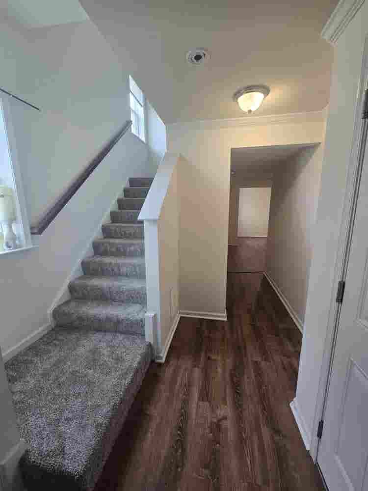 basement for rent