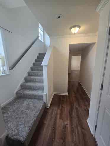 basement for rent