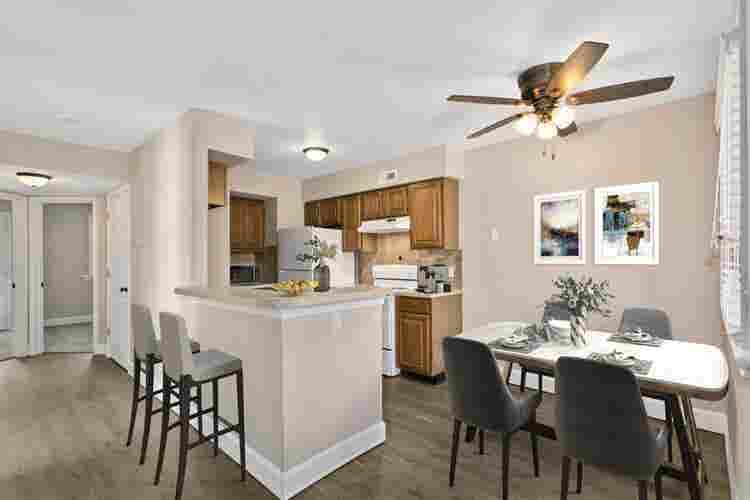 Roommate needed