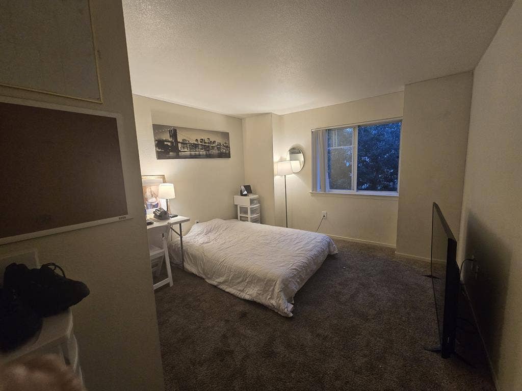 Rent a private room- shared apartme