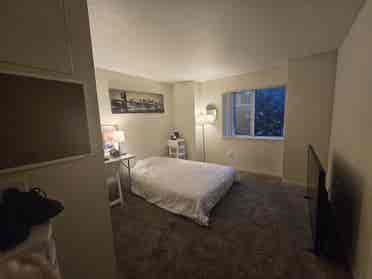 Rent a private room- shared apartme
