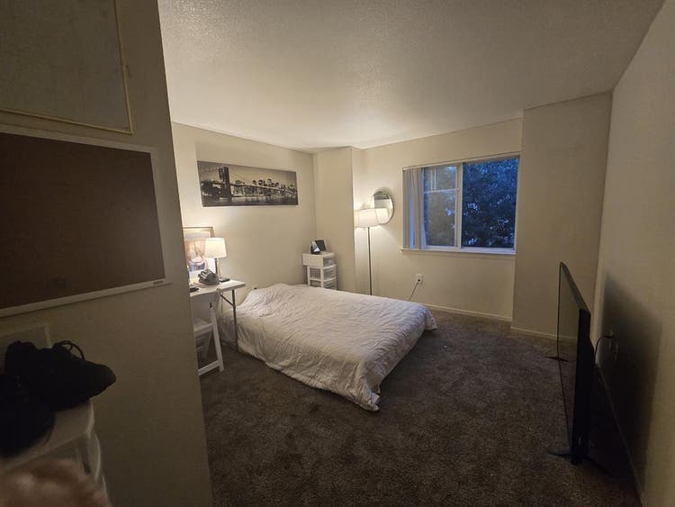 Rent a private room- shared apartme