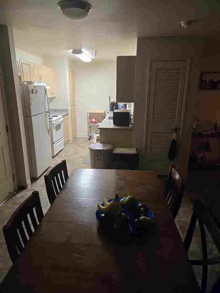 Rent a private room- shared apartme