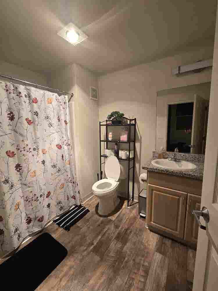 Rent a private room- shared apartme