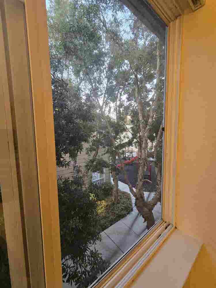 Rent a private room- shared apartme