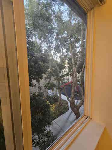 Rent a private room- shared apartme