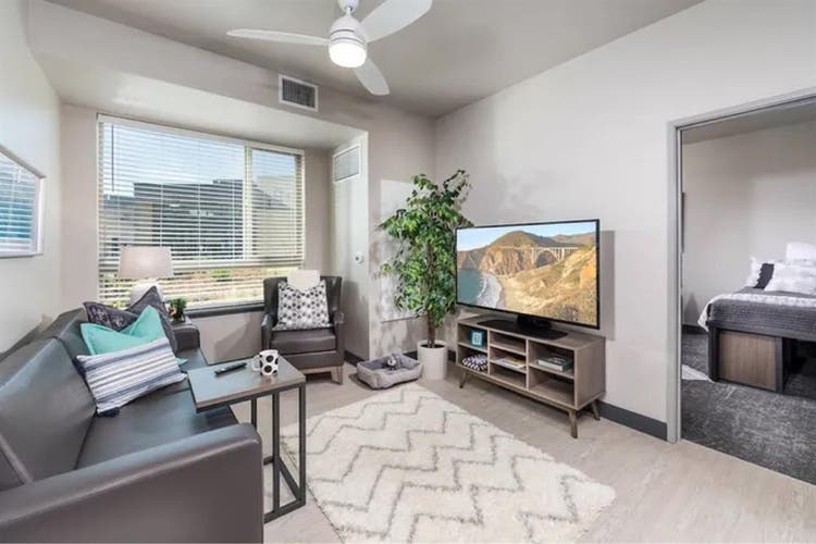 Lease at Hornet commons