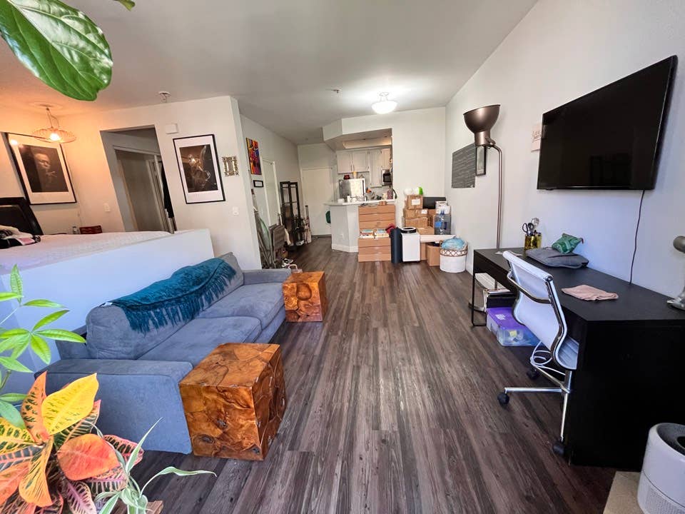Large Junior Studio (Private)