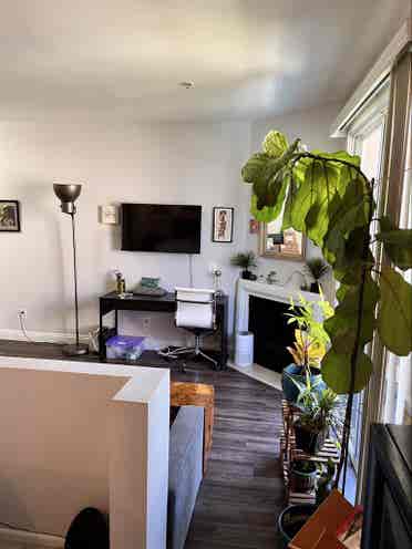 Large Junior Studio (Private)
