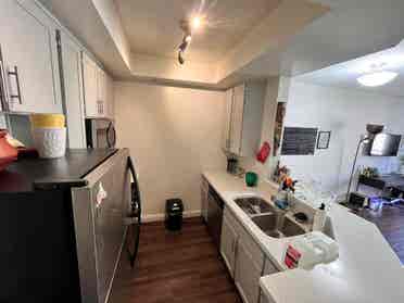 Large Junior Studio (Private)