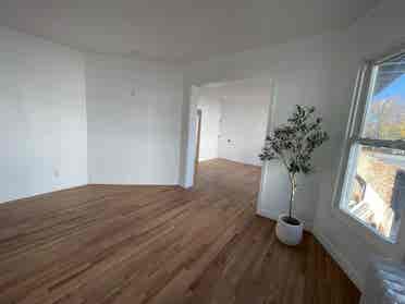 Private Bedroom rent in New Haven