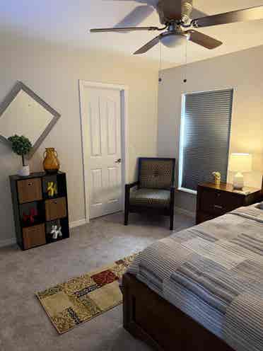 Looking for a Room to Rent?