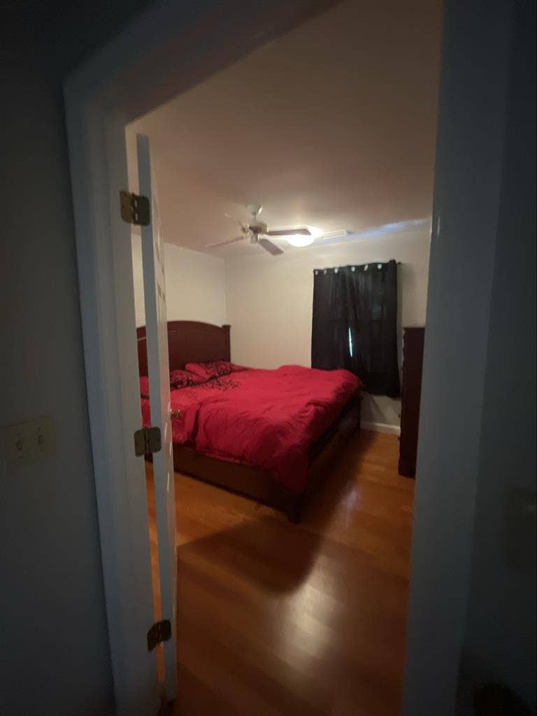 Roommate Wanted