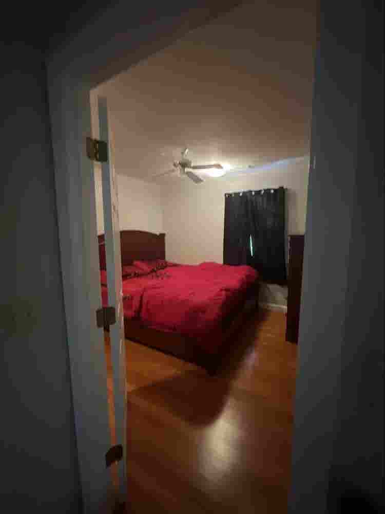 Roommate Wanted