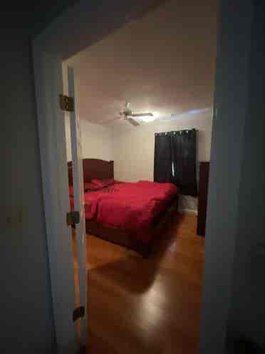 Roommate Wanted