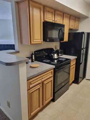 Looking for a flatmate