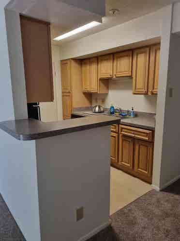 Looking for a flatmate