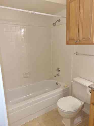 Looking for a flatmate
