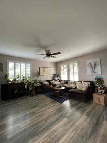pool/gym/WiFi/utilities/cleaners