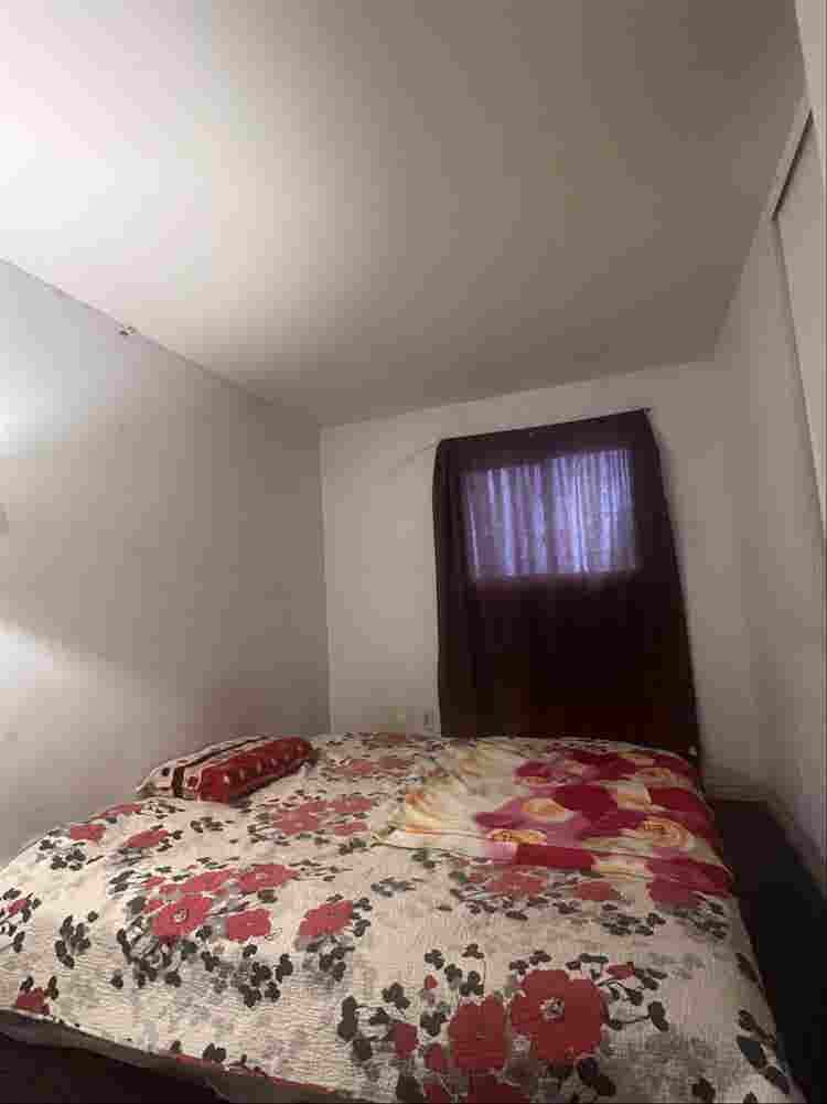 Room for rent brampton