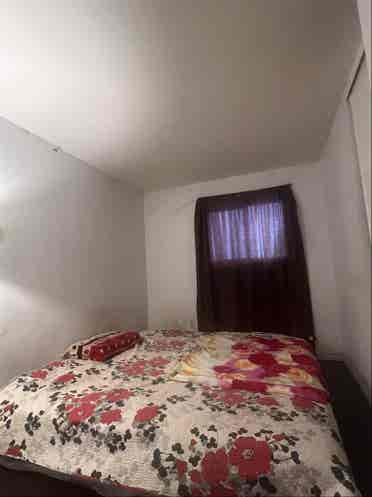 Room for rent brampton