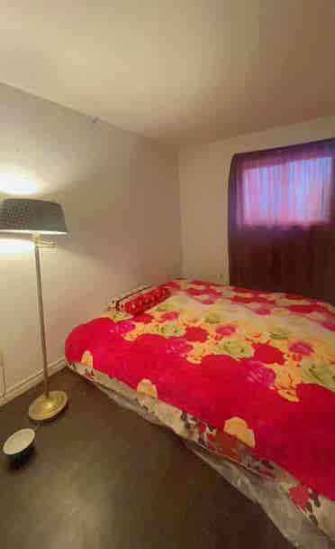 Room for rent brampton
