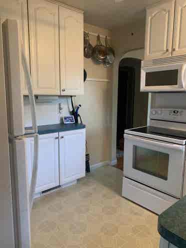 Looking for roommate